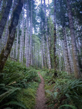 Load image into Gallery viewer, Olympic Peninsula Trail Running Retreat (Coed)