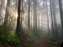 Load image into Gallery viewer, Olympic Peninsula Trail Running Retreat (Coed)
