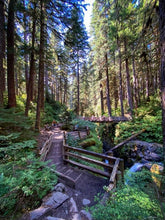 Load image into Gallery viewer, Olympic Peninsula Trail Running Retreat (Coed)
