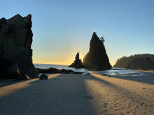 Load image into Gallery viewer, Olympic Peninsula Trail Running Retreat (Coed)
