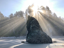 Load image into Gallery viewer, Olympic Peninsula Trail Running Retreat (Coed)
