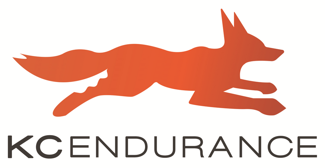 16 Weeks Online Coaching